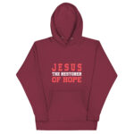 JESUS IS THE RESTORER OF HOPE - Image 4