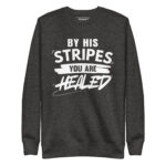BY HIS STRIPES YOU ARE HEALED - Image 4