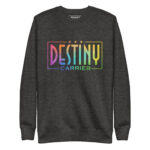 DESTINY CARRIER - Image 4