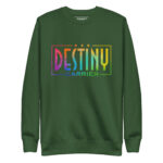 DESTINY CARRIER - Image 6