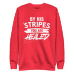 BY HIS STRIPES YOU ARE HEALED - Image 7