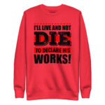 I’LL LIVE AND NOT DIE TO DECLARE HIS WORKS - Image 8