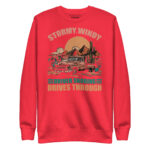 STORMY, WINDY DRIVERS SNORING DRIVES THROUGH - Image 7