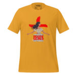 I DON'T CARE JESUS GOT MY BACK