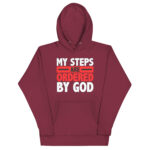 MY STEPS ARE ORDERED BY GOD - Image 4
