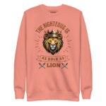 THE RIGHTEOUS IS AS BOLD AS A LION - Image 8