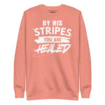 BY HIS STRIPES YOU ARE HEALED - Image 8