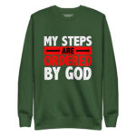 MY STEPS ARE ORDERED BY GOD - Image 7