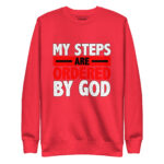 MY STEPS ARE ORDERED BY GOD - Image 8