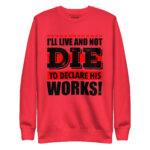 I’LL LIVE TO DECLARE HIS WORKS - Image 8