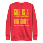 GOD IS A CONSUMING FIRE: DON'T MESS WITH HIM! - Image 7