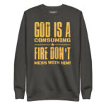 GOD IS A CONSUMING FIRE DON’T MESS WITH HIM! - Image 6