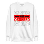 MY STEPS ARE ORDERED BY GOD - Image 11