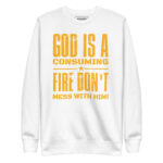 GOD IS A CONSUMING FIRE DON’T MESS WITH HIM! - Image 11
