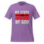 MY STEPS ARE ORDERED BY GOD - Image 7