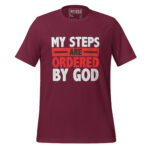 MY STEPS ARE ORDERED BY GOD - Image 4