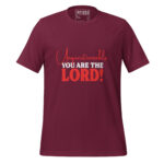 UNQUESTIONABLE YOU ARE THE LORD! - Image 4