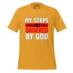 MY STEPS ARE ORDERED BY GOD - Image 9