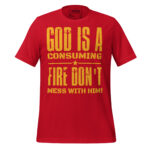 GOD IS A CONSUMING FIRE: DON'T MESS WITH HIM! - Image 4