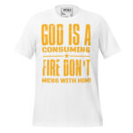 GOD IS A CONSUMING FIRE: DON'T MESS WITH HIM! - Image 12