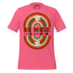 BE MEEK IT’S A VIRTUE - Image 7