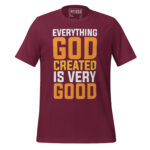 EVERYTHING GOD CREATED IS VERY GOOD - Image 3
