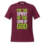 I’VE THE SPIRIT OF THE SON OF GOD - Image 3