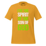 I’VE THE SPIRIT OF THE SON OF GOD - Image 9