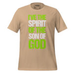 I’VE THE SPIRIT OF THE SON OF GOD - Image 11