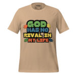 GOD HAD NO RIVAL IN MY LIFE - Image 11